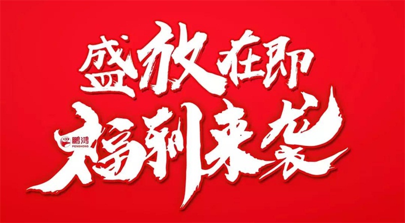 再拓疆域！鵬鴻We+定制&紅星美凱龍聯(lián)袂亮相烏魯木齊