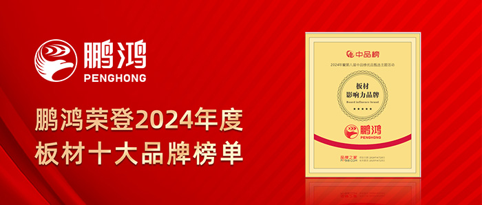 2024年度板材十大品牌榜單